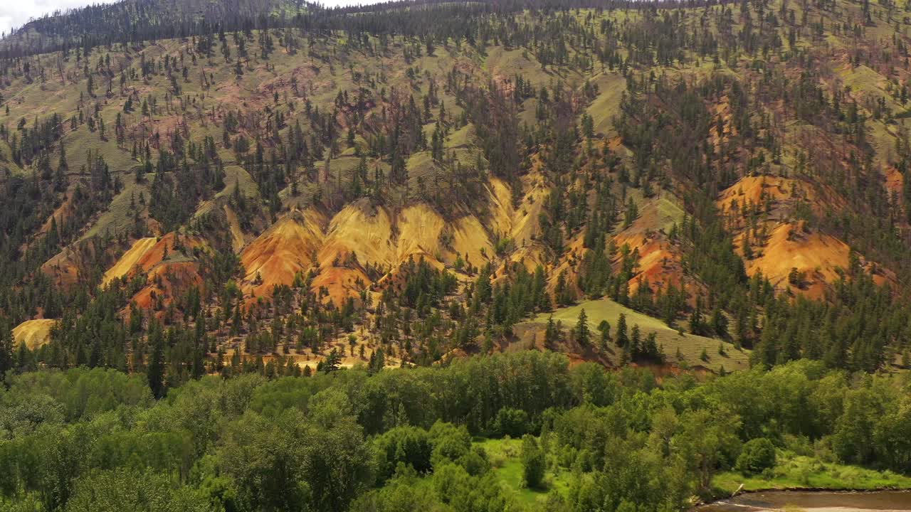 яркие виды: богатый зеленый ландшафт клинтона, бк