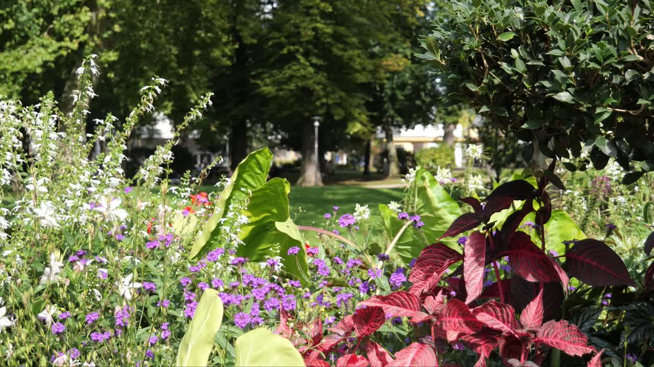 Canteiro de flores colorido com muitas flores diferentes em um parque da cidade.