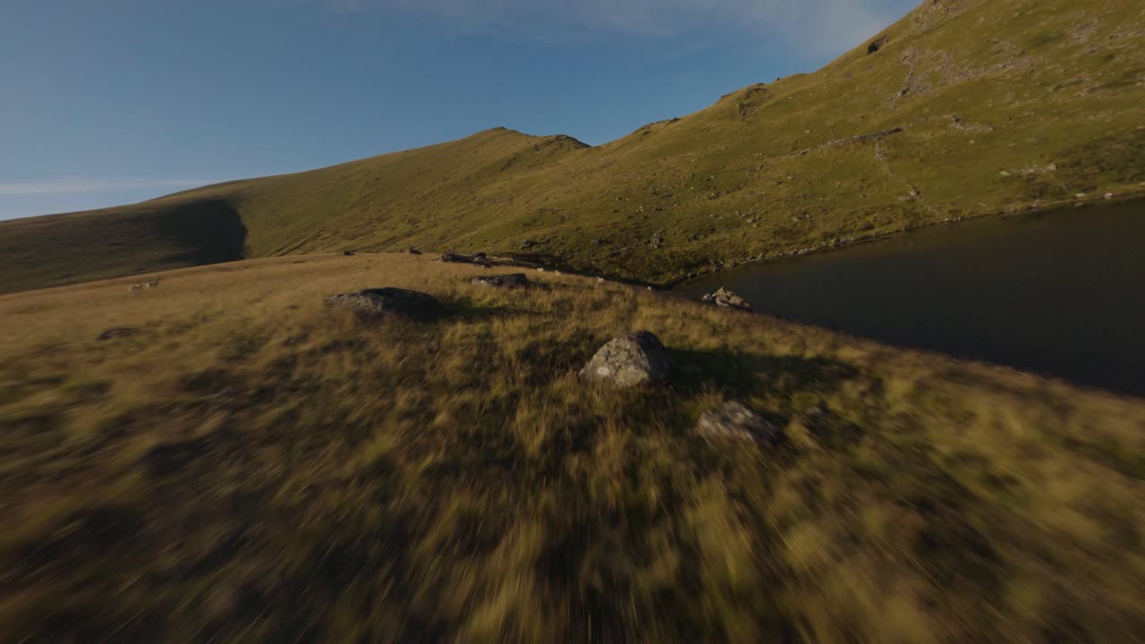 paisaje de montaña dorada con lago y ovejas huyendo en un día soleado