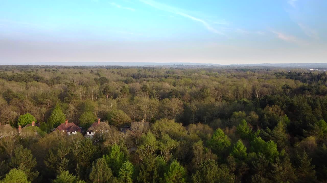 Drone shot flying over trees and forest in summer in Surrey, England