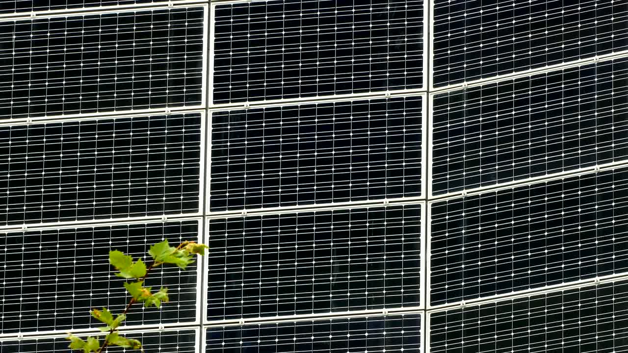 energía solar, fotosíntesis y viento concepto de energías naturales.