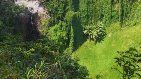 aerial-of-Falls-of-Makahiku-panning-to-a-wider-trail-view