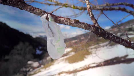 plastic bag stuck in branches of a tree, blown by the wind, rubbish and litter in ski resort in white snow moutains, on a blue sky beautiful day
