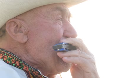 closeup video of a lonely old man sitting in the middle of a field and playing an organ closeup video of a lonely old man sitting in the middle of a field and playing an organ ukrainian grandfather in an embroidered shirt
