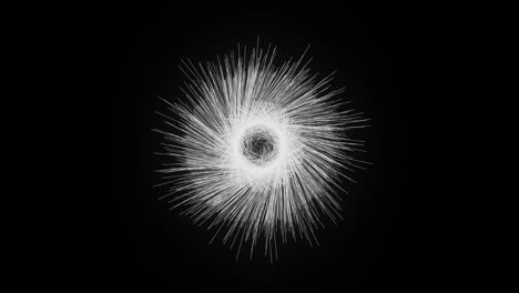 exploding firework on a black background