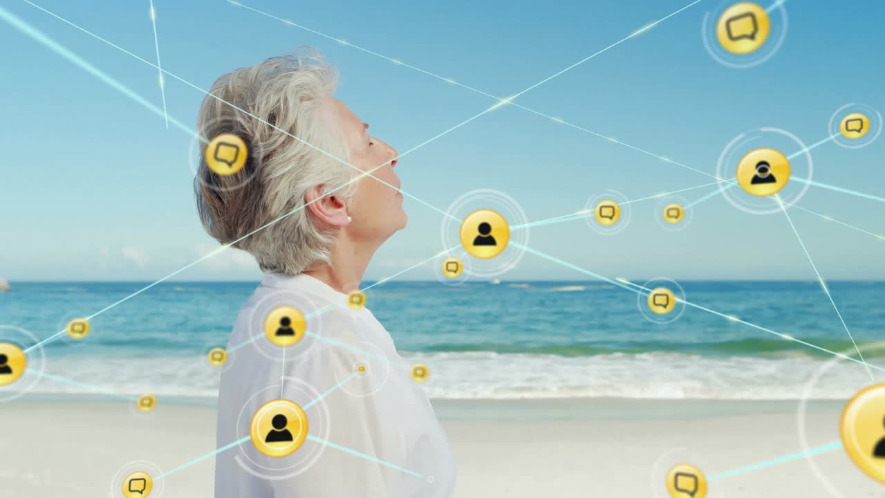 해변에서 고위 백인에 대한 아이콘과의 연결 네트워크의 애니메이션