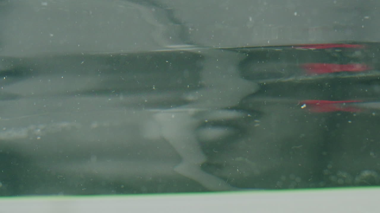 Water Droplet Splash and Ripple Effect