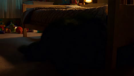 perro escondiéndose debajo de la cama en la habitación de un niño por la noche