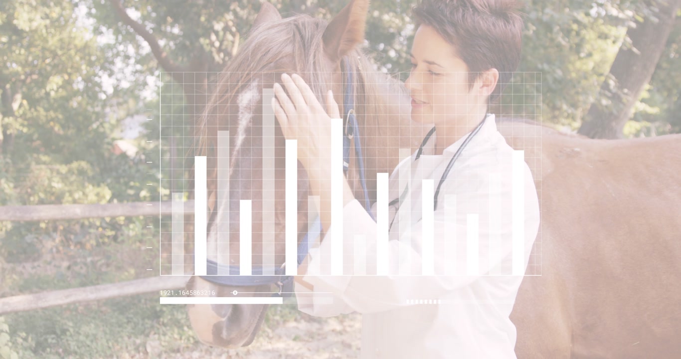 Female veterinarian adjusting halter then checking horse jaw with stethoscope, HUD data overlaying