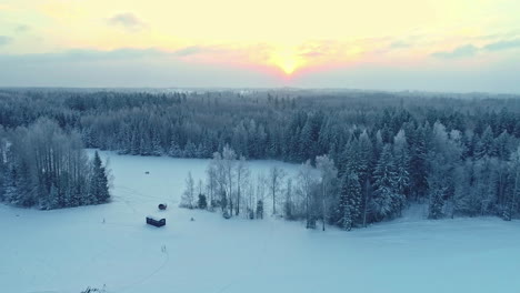 Maravilloso-Paisaje-Invernal-Bosque-De-árboles-Congelados-Y-Suelo-Blanco,-Antena-Rural-Al-Atardecer-Hora-Dorada