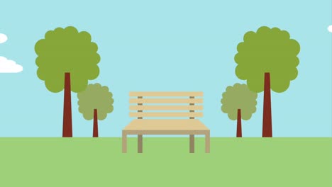 wooden bench in the park landscape
