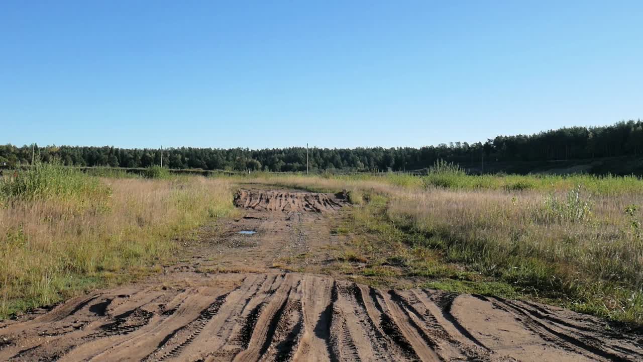 Dirt Road Through a Field with Trees