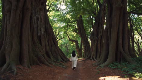 woman walking through a mysterious forest