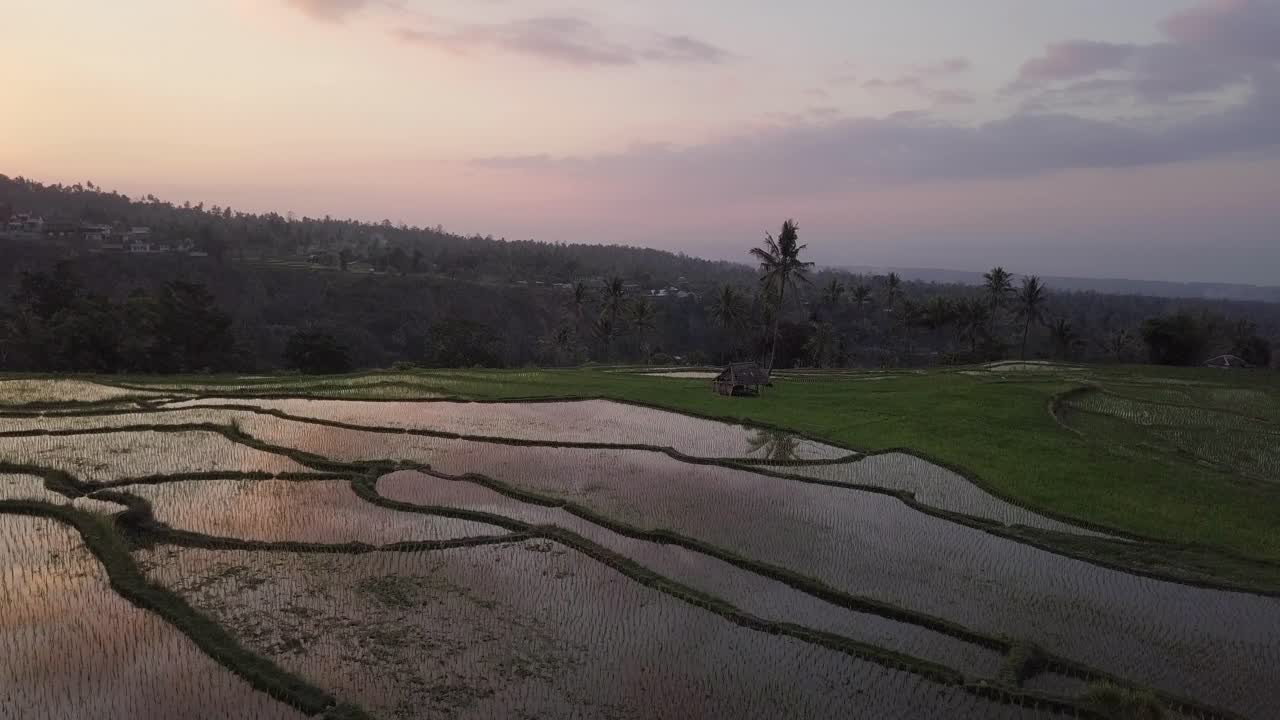 antena: terrazas de arroz en lombok indonesia