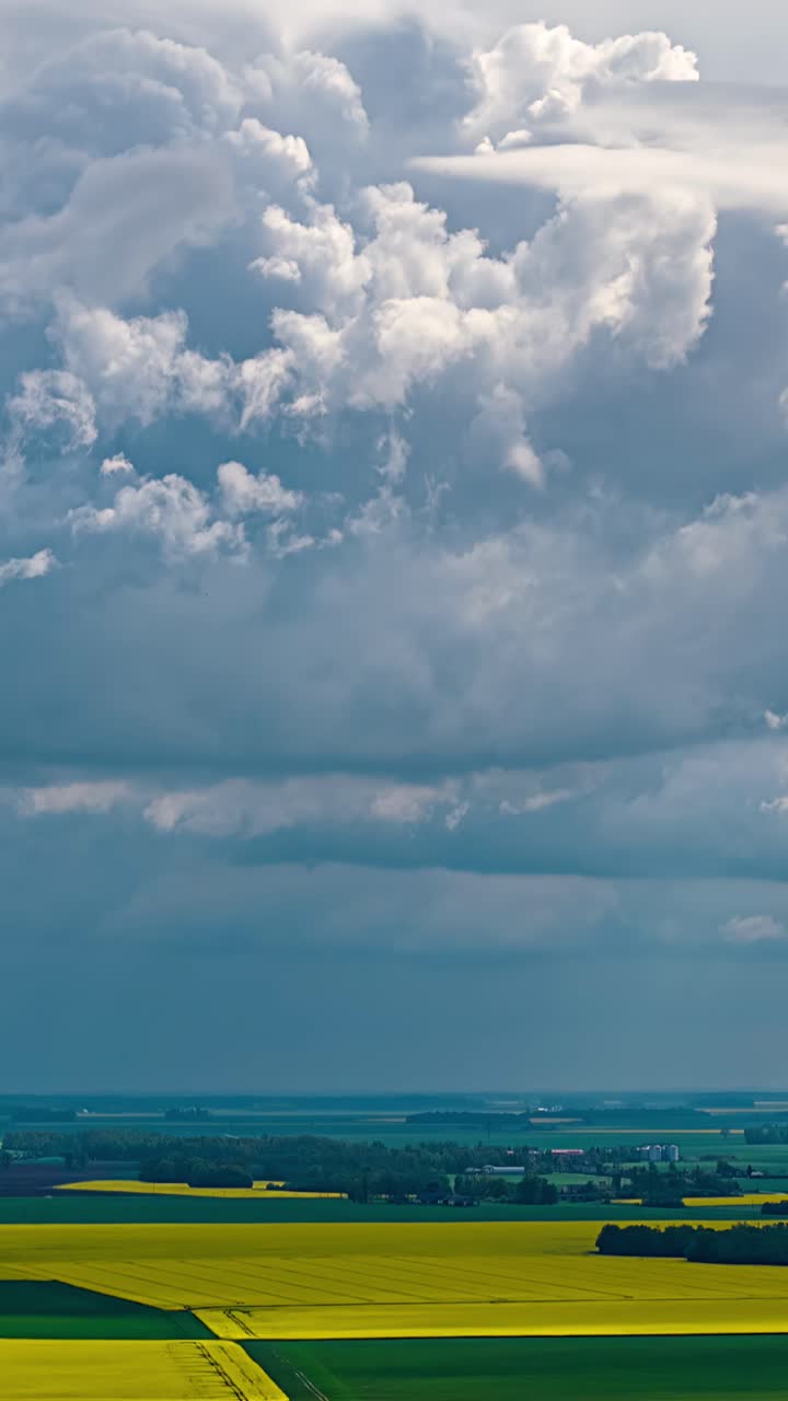 Aerial view of cumulonimbus clouds above blooming yellow rapeseed fields, vertical