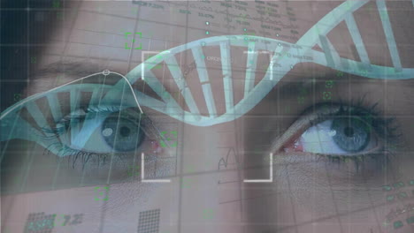 animación de la cadena de adn y procesamiento de datos sobre ojos femeninos caucásicos