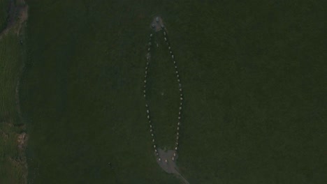 Oval-Shaped-Ancient-Rocks-Ales-Stenar-in-South-Sweden-Skåne-Österlen-Kåseberga,-Aerial-Descending-Smooth-Bird-View