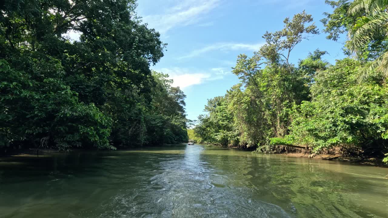 Barca che naviga in un fiume attraverso una lussureggiante giungla tropicale