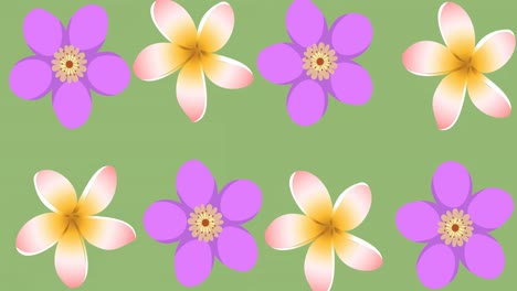 Animation-of-purple-flowers-spinning-on-green-background