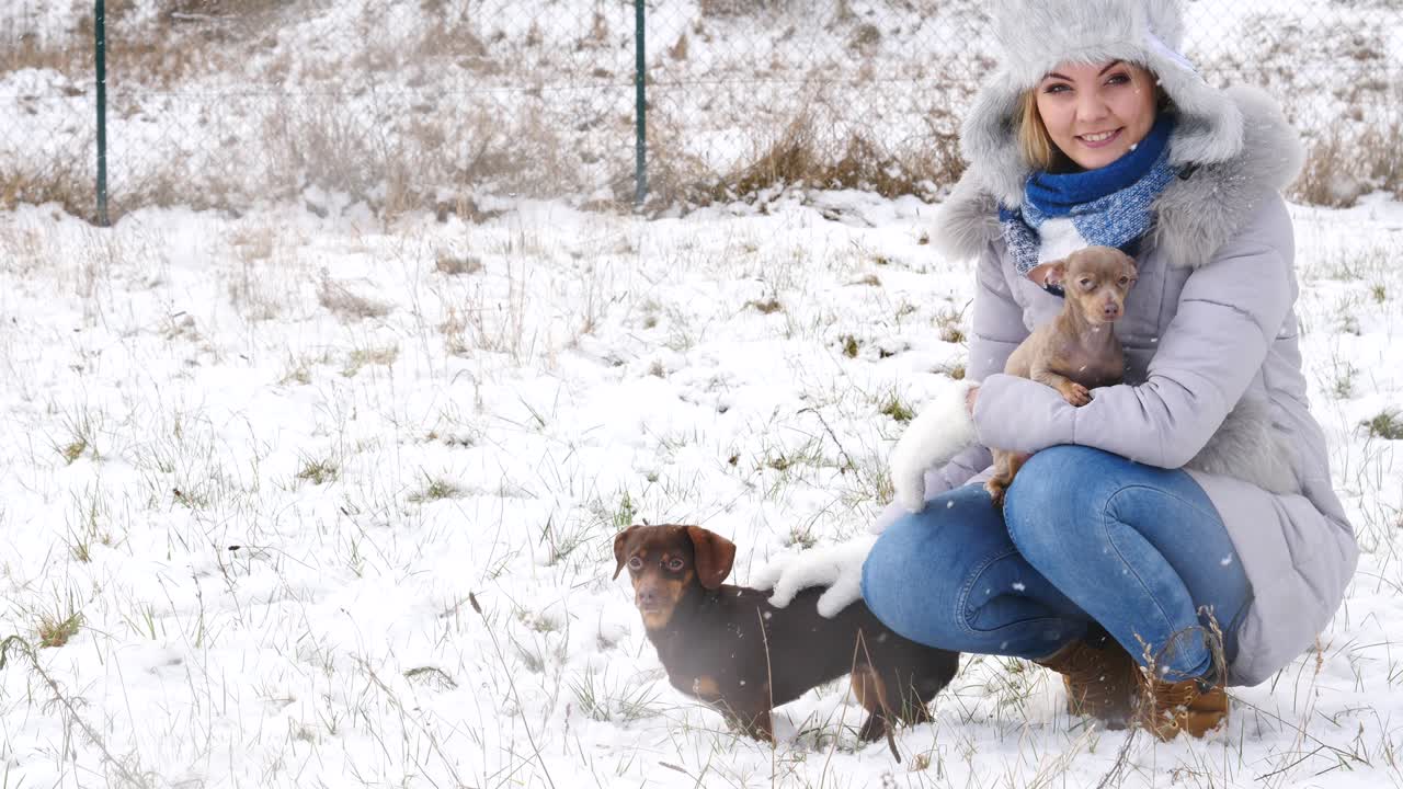 mujer jugando con sus perros pequeños fuera del invierno