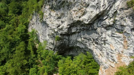 rocky cliff face in a valley in rakov skocjan national wild life park in cerknica, slovenia