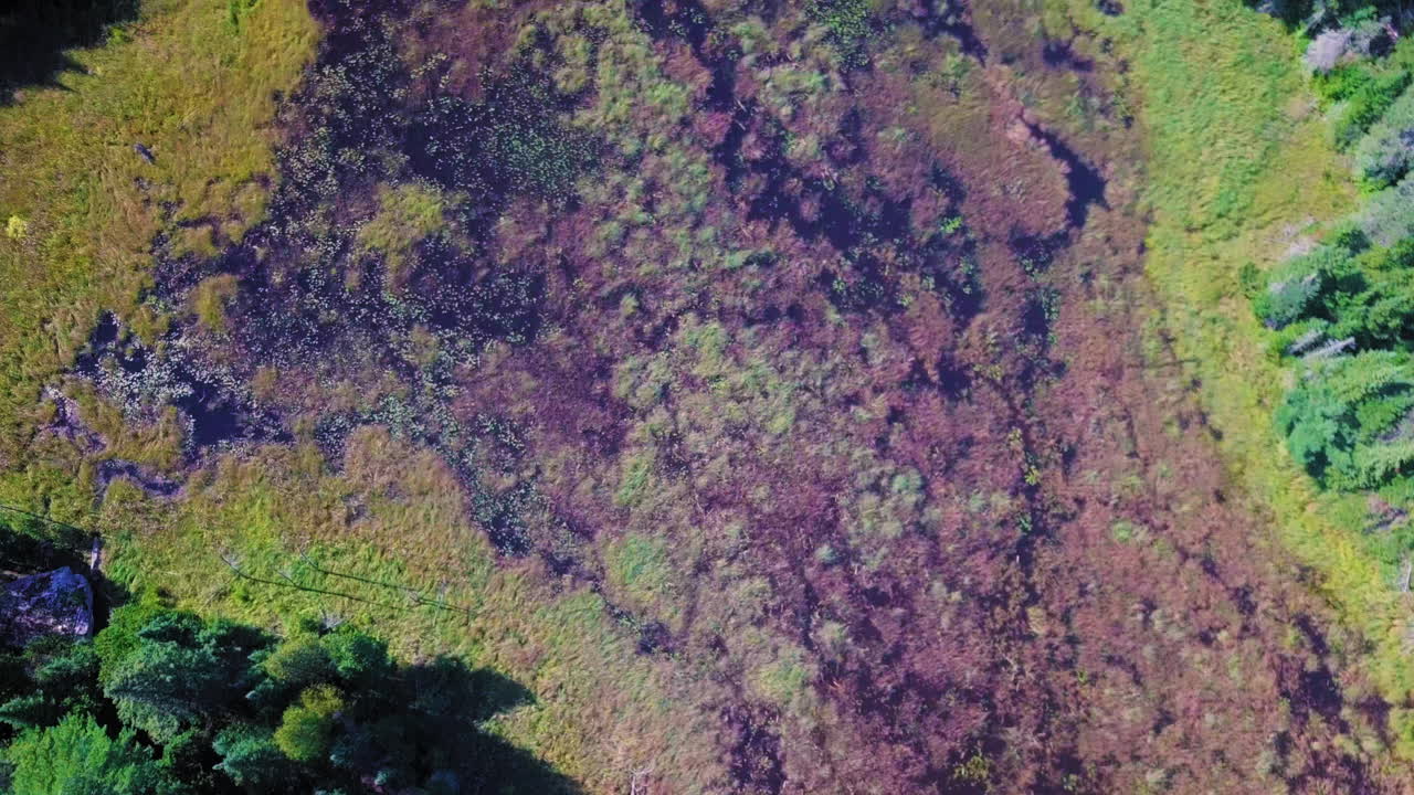 4K top down aerial shot of a forest and swampy river in Ontario, Canada