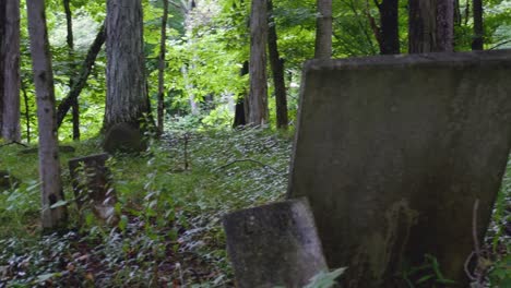 Viejo-Cementerio-Abandonado-En-El-Bosque