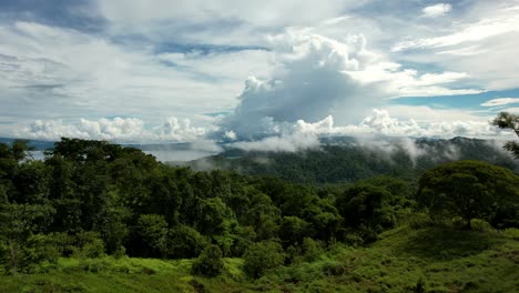 Amazing-view-of-the-jungle-beach