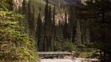 a pedestrian bridge in the mountain over a river by the forrest