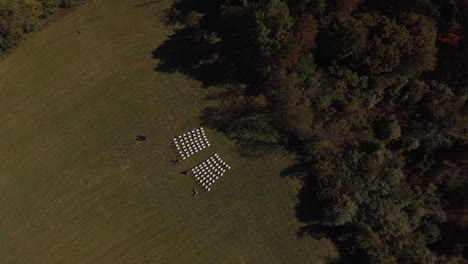 drone shot of outdoor wedding venue setup with chairs, cinematic downward angle aerial shot