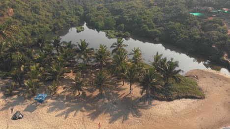 arambol sweet water lake oasis near arambol beach in goa, india - aerial fly way reveal shot