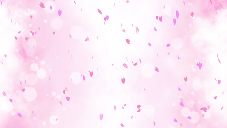 화려한 잎자루가 봄의 배경에 휘어지고, 빛으로 빛나는 아름다운 자연 장면, 꽃의 잎자락, 추상적인 봄 그래픽, 루프 애니메이션.