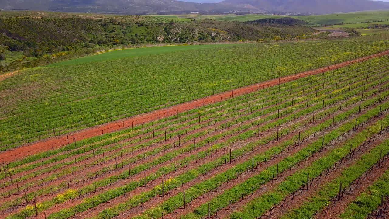 cualquier tiempo pasado en la granja es un buen tiempo.