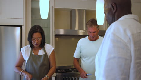 diverse seniors preparing healthy meal together in modern kitchen, having conversation, at home