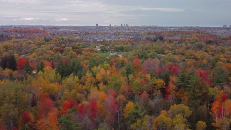 Sideways-drone-view-of-woods-and-trees-in-a-fall,-cloudy,-moody-day