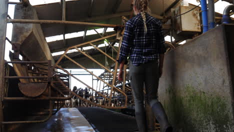 girl walking into shot waiting at gate for cattle