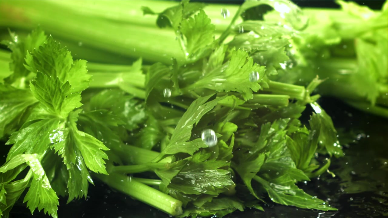 Verse groene selderij wordt gewassen met waterdruppels