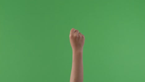 raised fist on green screen