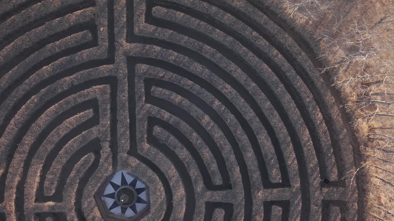 Aerial top view of single person walking in circular hedge maze with central star pattern and branching paths