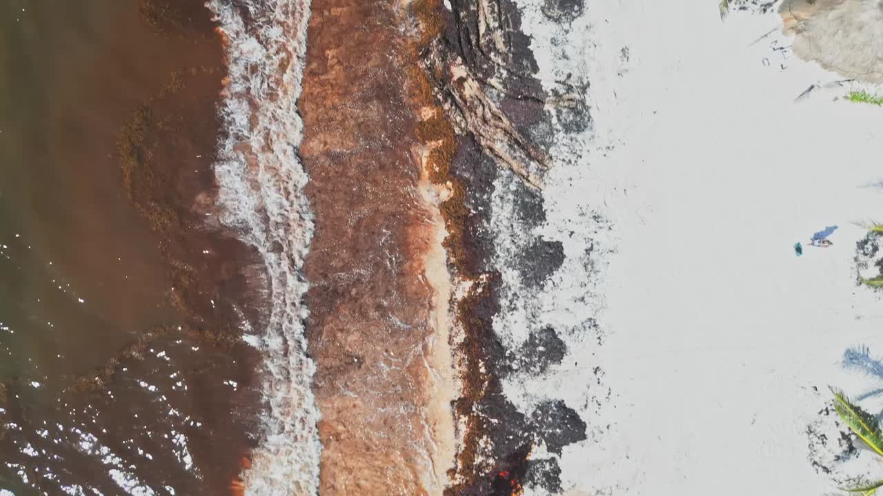 Birdseye panning view, invasive environmental coastline impact Mexico