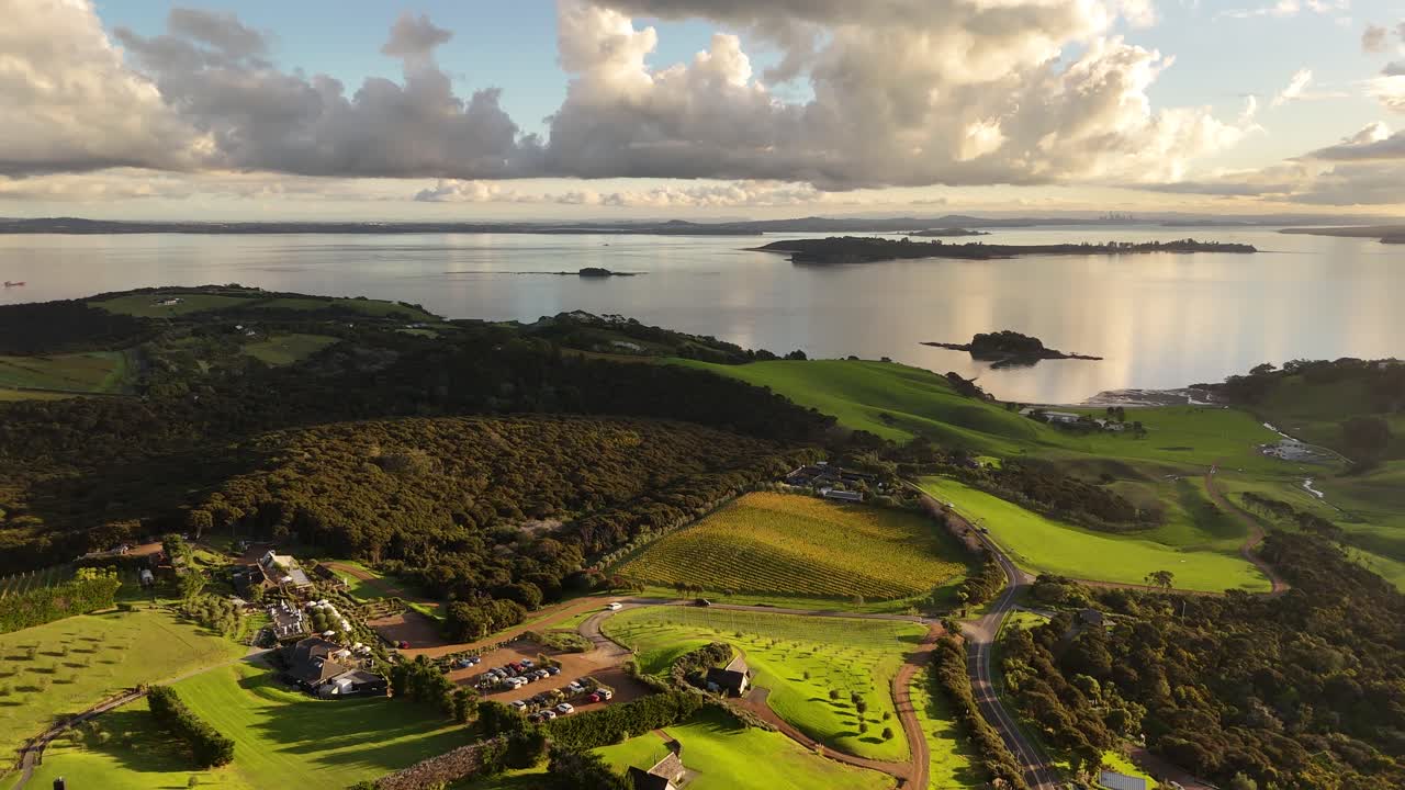 Vineyards, houses on hill, cars departing cellar door, ocean background. Waiheke Island, New Zealand wine country. Aerial drone panoramic view