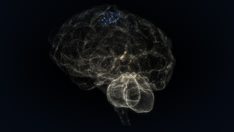 El-Concepto-De-Cerebro-Humano-Hecho-De-Pequeñas-Partículas.-Dígitos-Binarios-Coloridos-Resaltados-Que-Representan-Procesos-Bioquímicos-En-El-órgano.-La-Actividad-Neurológica-En-Diferentes-Partes-Del-Cerebro.