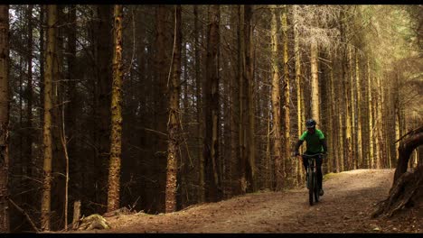 mountain biker riding bicycle in forest