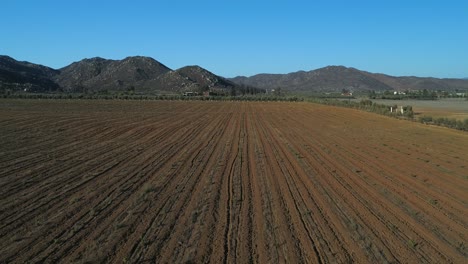 Aerial-shot-of-vineyards-and-fields-n-Valle-de-Guadalupe