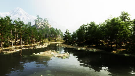 tranquil forest scene with mountain and river