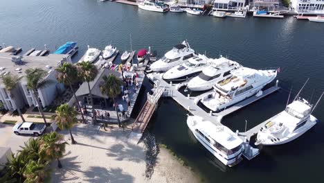 aerial view of beach with palm trees and luxury yachts at marina - dolly shot