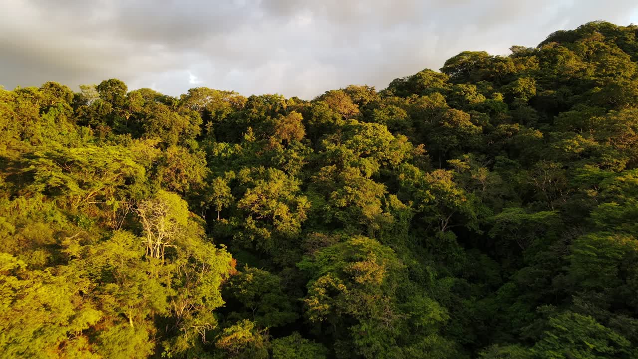 revelación épica del magnífico paisaje montañoso de la selva durante la puesta de sol