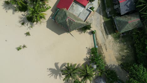 tropical beachfront with palm trees and buildings, sunny day, aerial view