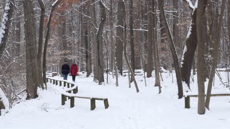 Ein-Paar-Bei-Einer-Winterwanderung-Im-Schnee