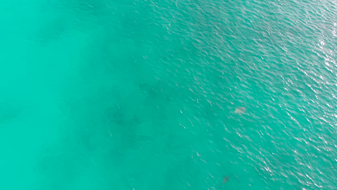 세이셸의 가장 아름다운 해변과 청록색 바다의 조감도